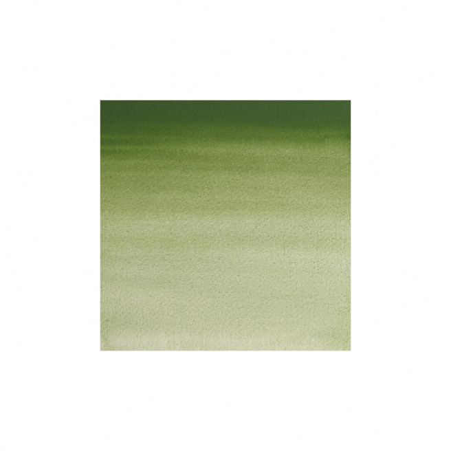 Professionele Winsor & Newton aquarelverf