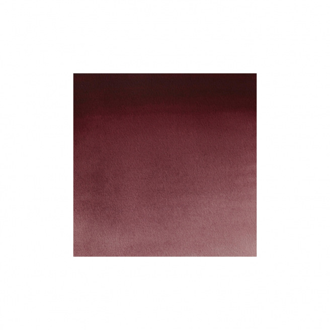 Professionele Winsor & Newton aquarelverf