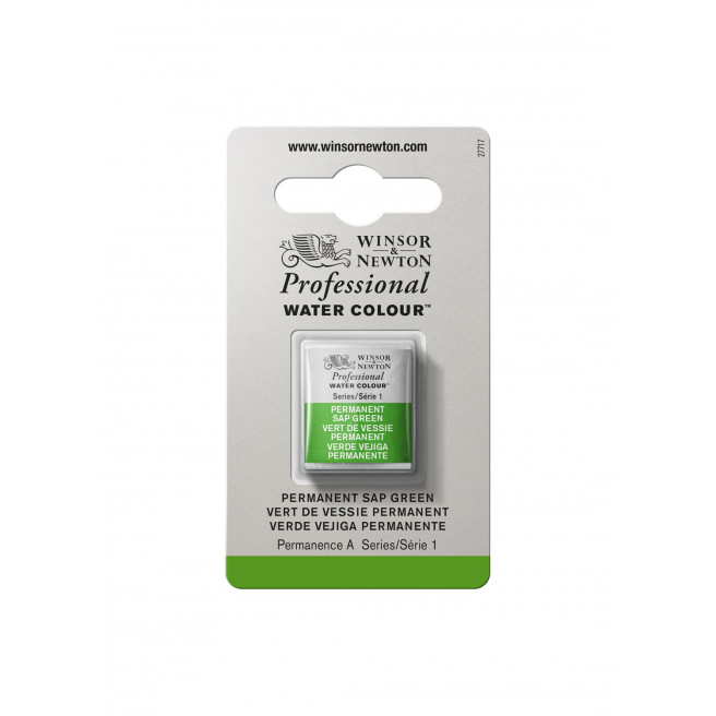 Professionele Winsor & Newton aquarelverf