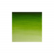 Professionele Winsor & Newton aquarelverf