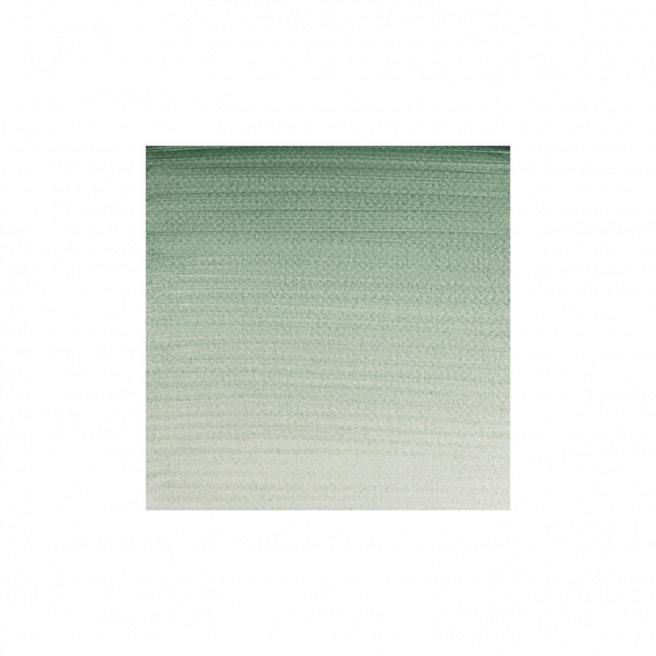 Professionele Winsor & Newton aquarelverf