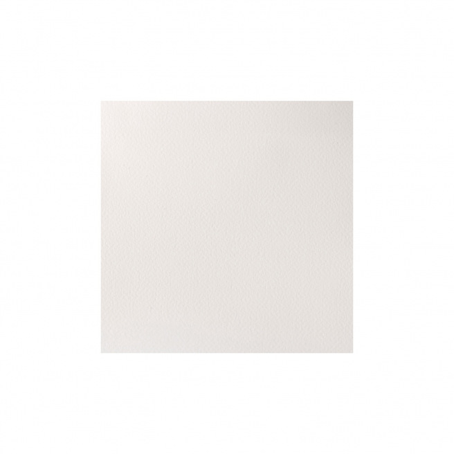 Aquarelle professionnelle Winsor & Newton Aquarelle professionnelle Winsor & Newton