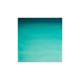 Professionele Winsor & Newton aquarelverf