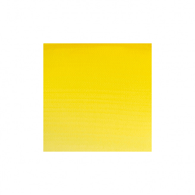 Professionele Winsor & Newton aquarelverf