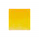 Professionele Winsor & Newton aquarelverf