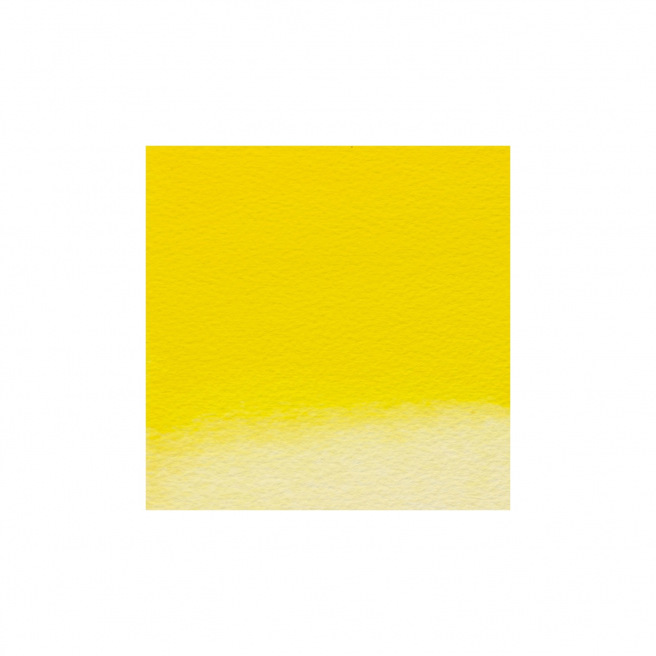 Professionele Winsor & Newton aquarelverf