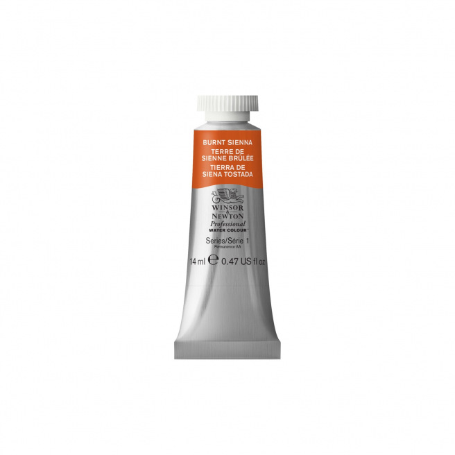 Professionele Winsor & Newton aquarelverf