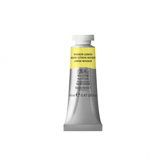 Professionele Winsor & Newton aquarelverf