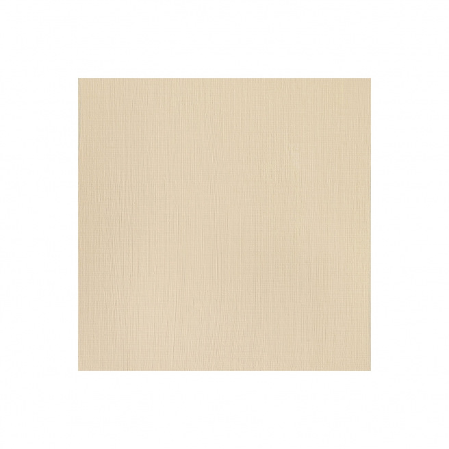 Winsor & Newton PROFESSIONAL acrylverf - 60 ml Winsor & Newton PROFESSIONAL acrylverf - 60 ml