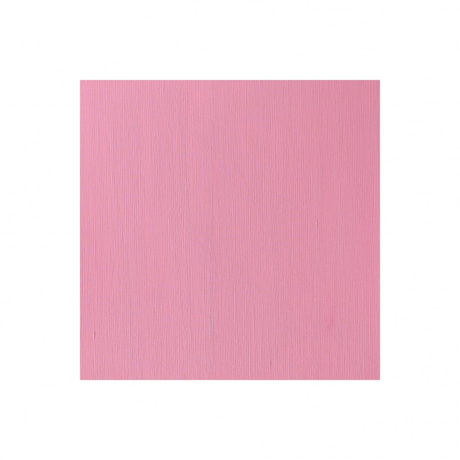 Winsor & Newton PROFESSIONAL acrylverf - 60 ml Winsor & Newton PROFESSIONAL acrylverf - 60 ml