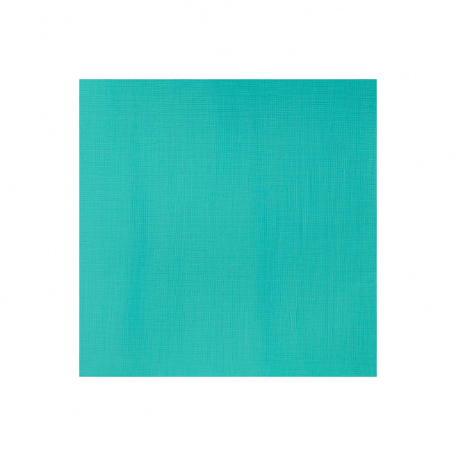 Winsor & Newton PROFESSIONAL acrylverf - 60 ml Winsor & Newton PROFESSIONAL acrylverf - 60 ml