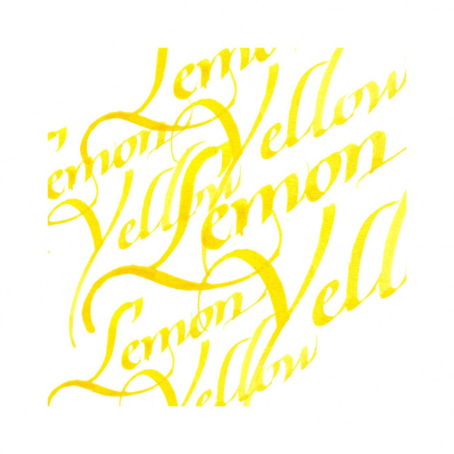 Encre de calligraphie Winsor & Newton - 30 ml