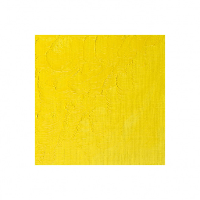 Fijne Winsor & Newton WINTON olieverf Fijne Winsor & Newton WINTON olieverf