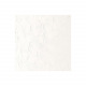 Fijne Winsor & Newton WINTON olieverf