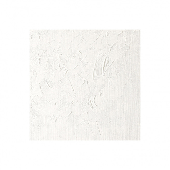 Fijne Winsor & Newton WINTON olieverf Fijne Winsor & Newton WINTON olieverf