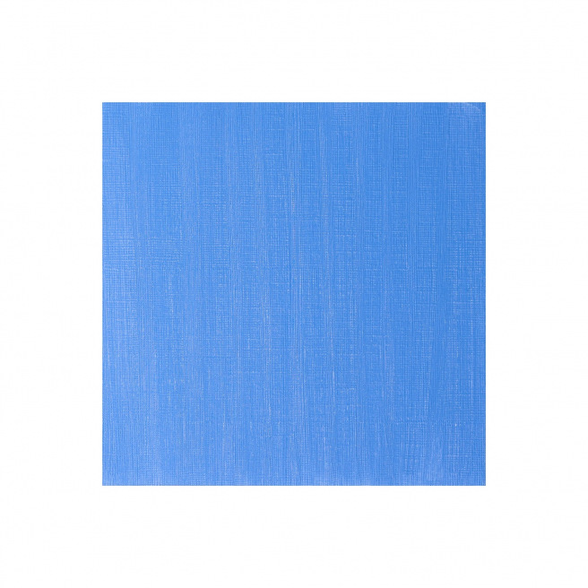 Peinture à l'huile fine Winsor & Newton WINTON