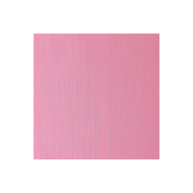 Fijne Winsor & Newton WINTON olieverf Fijne Winsor & Newton WINTON olieverf