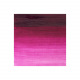 Fijne Winsor & Newton WINTON olieverf