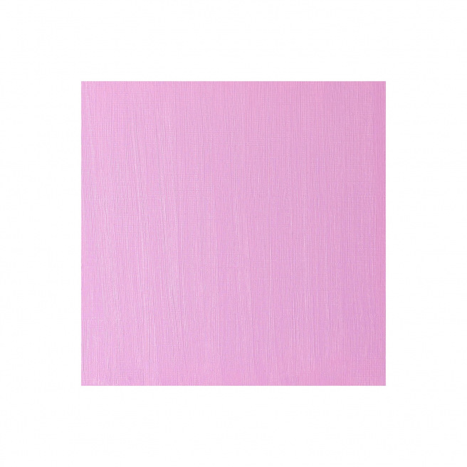 Fijne Winsor & Newton WINTON olieverf Fijne Winsor & Newton WINTON olieverf