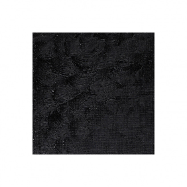 Fijne Winsor & Newton WINTON olieverf Fijne Winsor & Newton WINTON olieverf