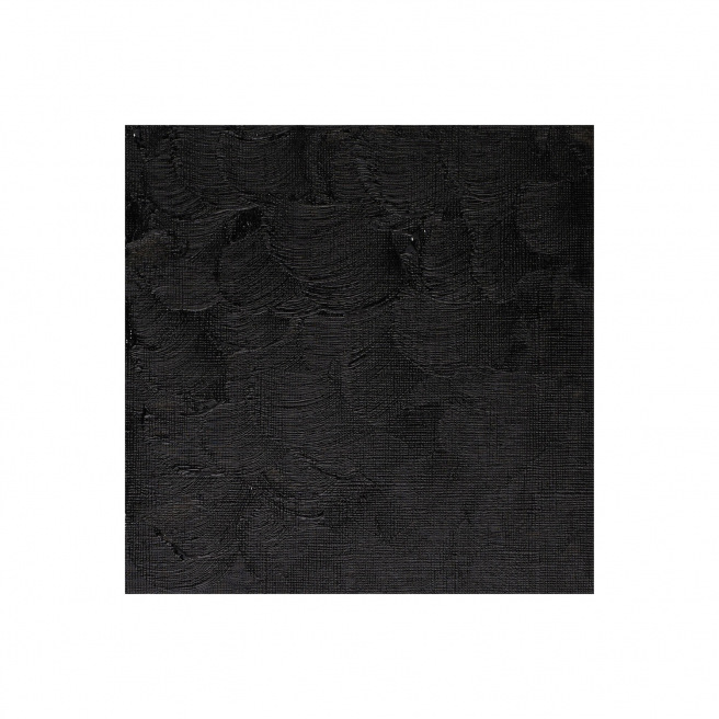 Fijne Winsor & Newton WINTON olieverf Fijne Winsor & Newton WINTON olieverf