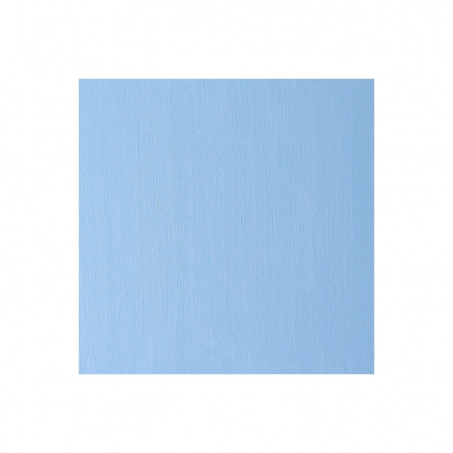 Fijne Winsor & Newton WINTON olieverf Fijne Winsor & Newton WINTON olieverf