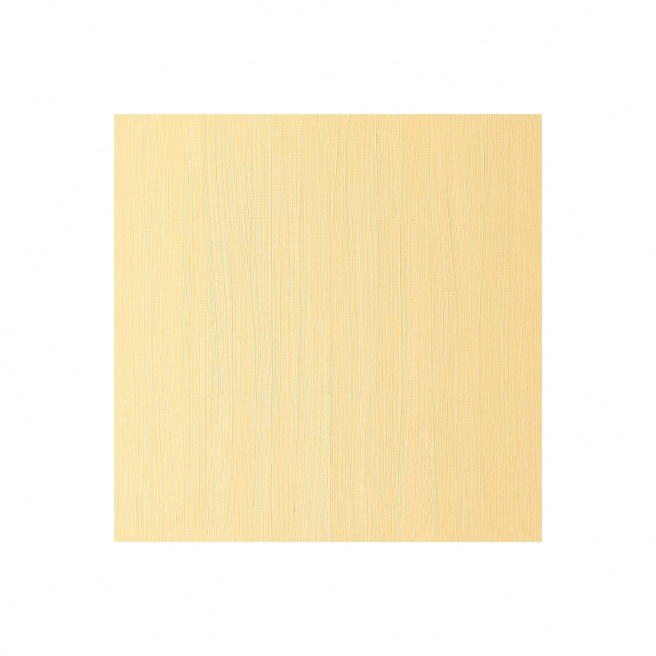 Fijne Winsor & Newton WINTON olieverf Fijne Winsor & Newton WINTON olieverf