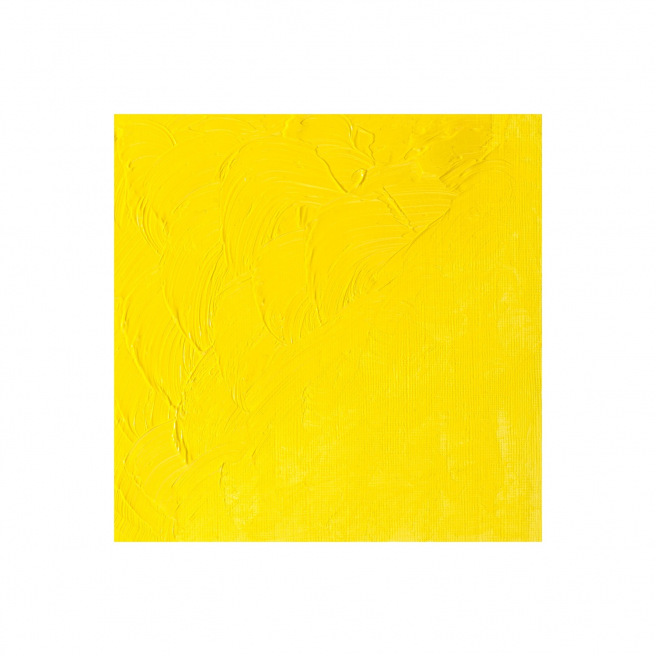 Fijne Winsor & Newton WINTON olieverf Fijne Winsor & Newton WINTON olieverf