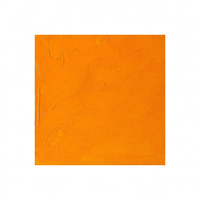 Fijne Winsor & Newton WINTON olieverf Fijne Winsor & Newton WINTON olieverf