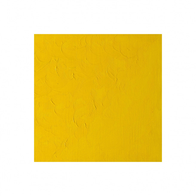 Fijne Winsor & Newton WINTON olieverf Fijne Winsor & Newton WINTON olieverf