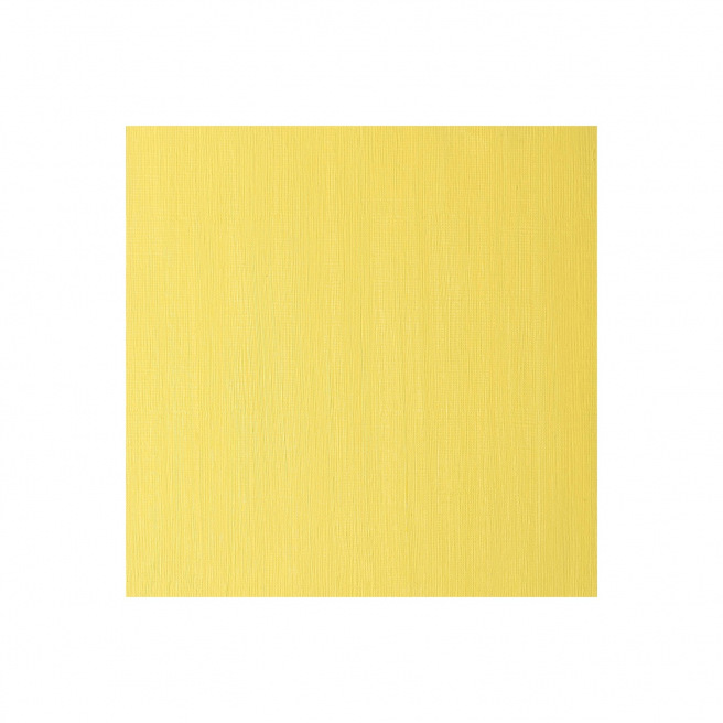 Peinture à l'huile fine Winsor & Newton WINTON