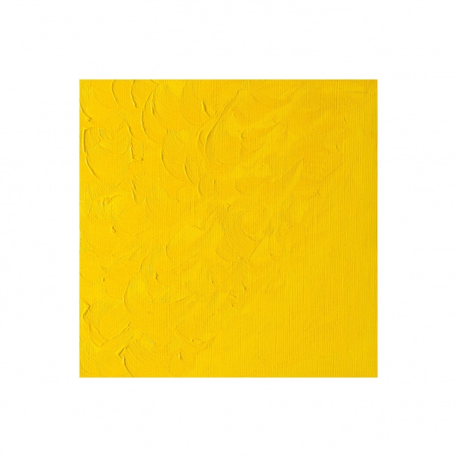 Fijne Winsor & Newton WINTON olieverf Fijne Winsor & Newton WINTON olieverf