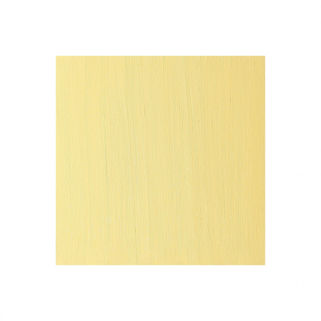 Fijne Winsor & Newton WINTON olieverf Fijne Winsor & Newton WINTON olieverf