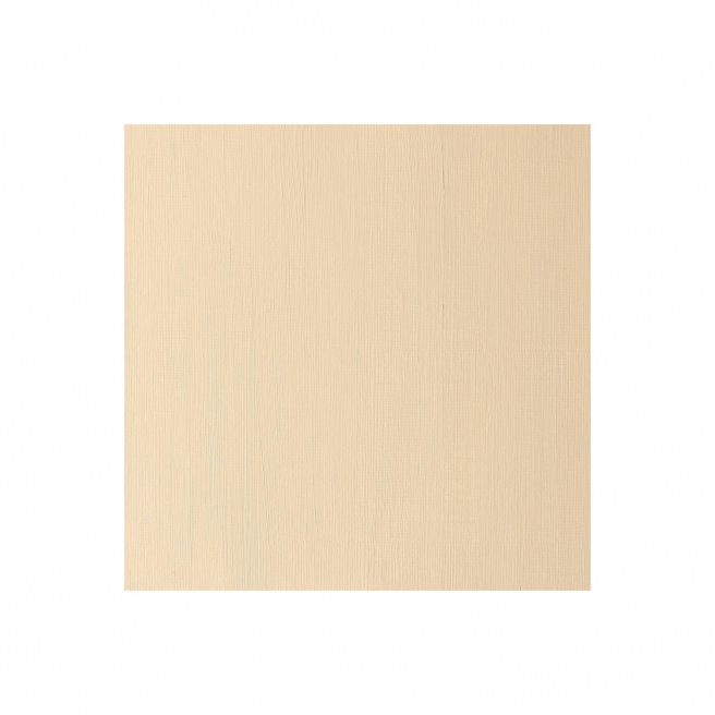 Fijne Winsor & Newton WINTON olieverf Fijne Winsor & Newton WINTON olieverf