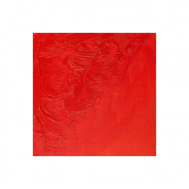 Fijne Winsor & Newton WINTON olieverf Fijne Winsor & Newton WINTON olieverf