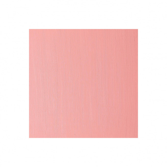 Fijne Winsor & Newton WINTON olieverf Fijne Winsor & Newton WINTON olieverf