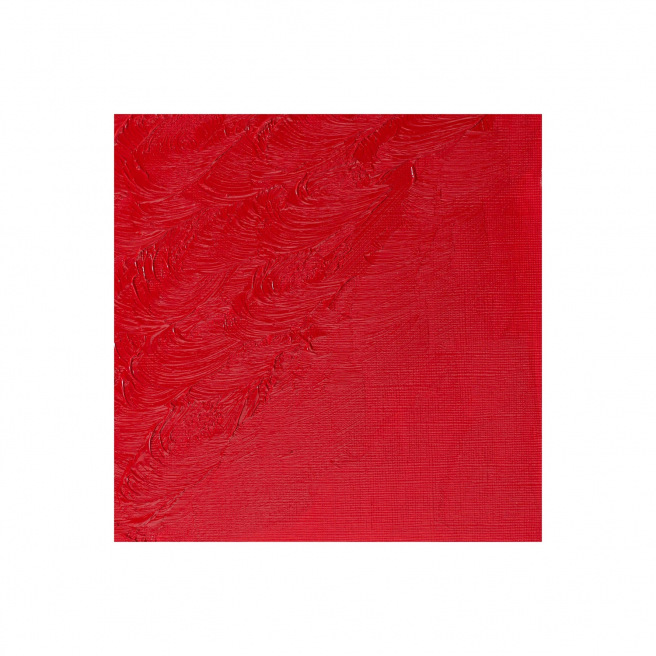 Fijne Winsor & Newton WINTON olieverf Fijne Winsor & Newton WINTON olieverf