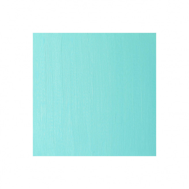 Fijne Winsor & Newton WINTON olieverf Fijne Winsor & Newton WINTON olieverf