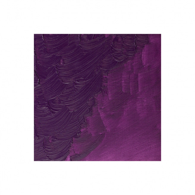 Fijne Winsor & Newton WINTON olieverf Fijne Winsor & Newton WINTON olieverf