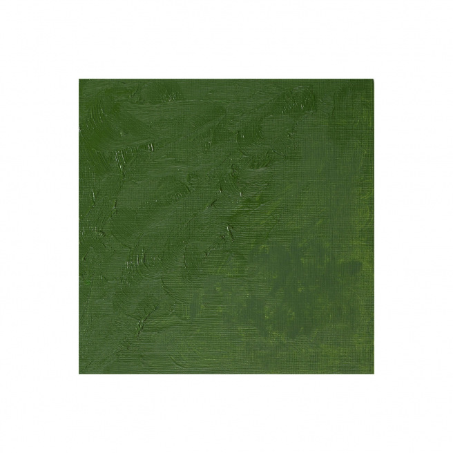 Fijne Winsor & Newton WINTON olieverf Fijne Winsor & Newton WINTON olieverf