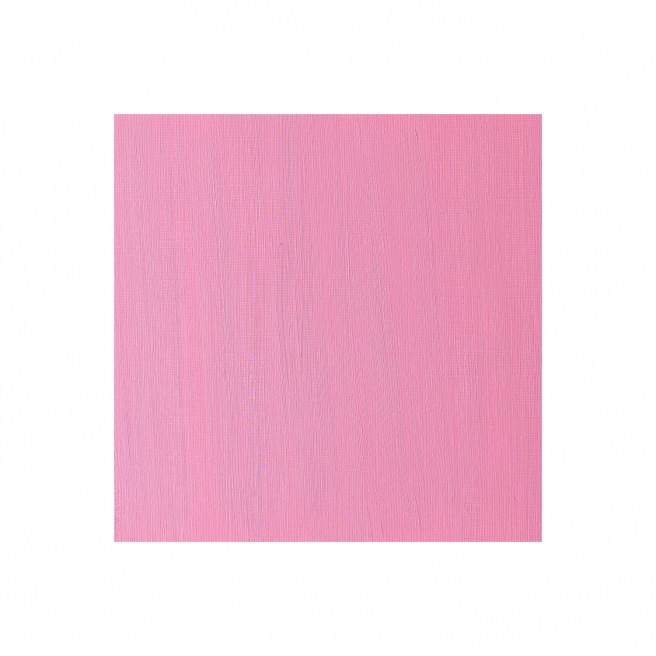 Fijne Winsor & Newton WINTON olieverf Fijne Winsor & Newton WINTON olieverf