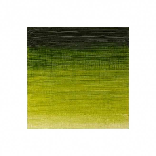 Fijne Winsor & Newton WINTON olieverf Fijne Winsor & Newton WINTON olieverf