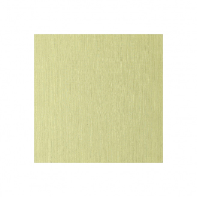 Fijne Winsor & Newton WINTON olieverf Fijne Winsor & Newton WINTON olieverf