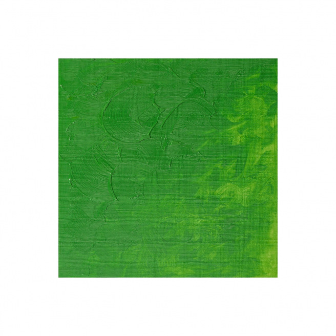 Fijne Winsor & Newton WINTON olieverf Fijne Winsor & Newton WINTON olieverf