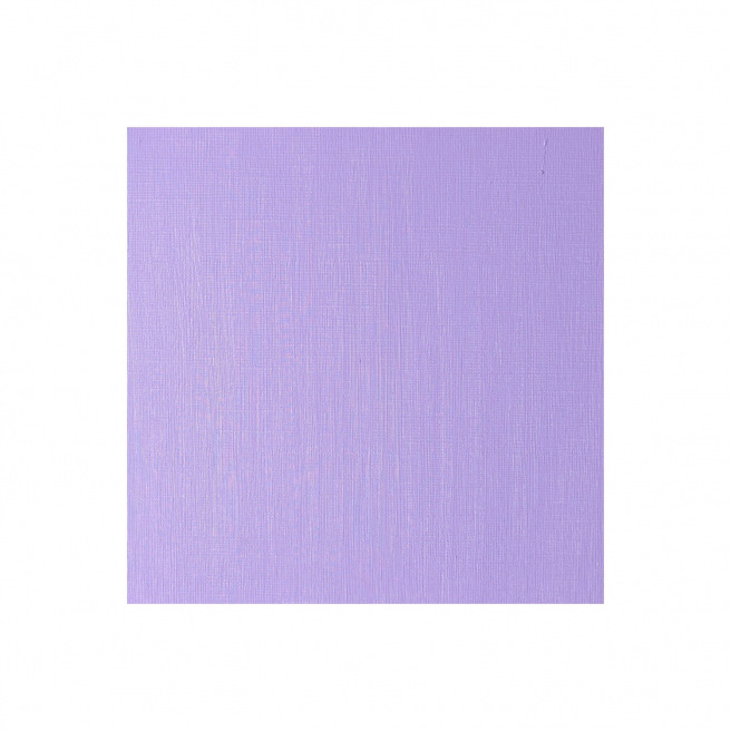 Fijne Winsor & Newton WINTON olieverf Fijne Winsor & Newton WINTON olieverf