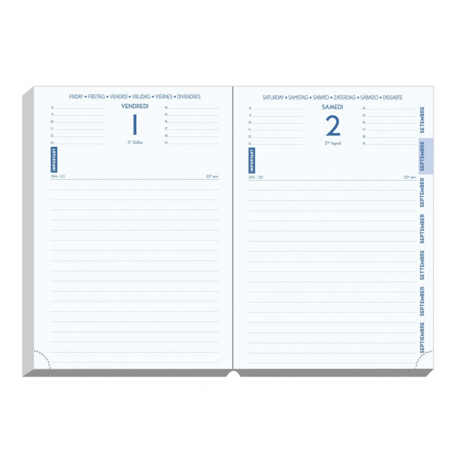 Agenda scolaire Exacompta FORUM OFFICE - 15 x 21 cm - 1 jour par page
