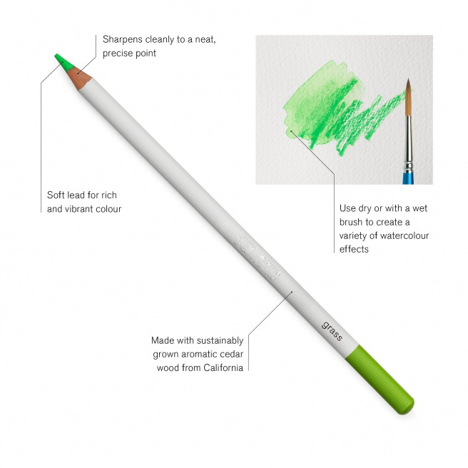 Winsor & Newton STUDIO COLLECTION kleurpotloden