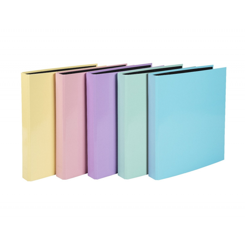 classeur 2 anneaux a4