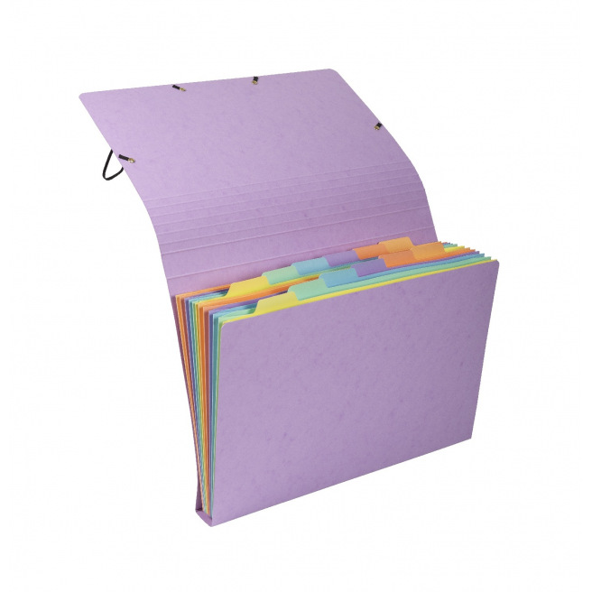 Exacompta AQUAREL elastische sorteermachine in glanzend karton - 12 compartimenten Exacompta AQUAREL elastische sorteermachine in glanzend karton - 12 compartimenten