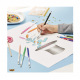 Uitwisbare kleurpotloden Bic Kids EVOLUTION ILLUSION - doos van 12